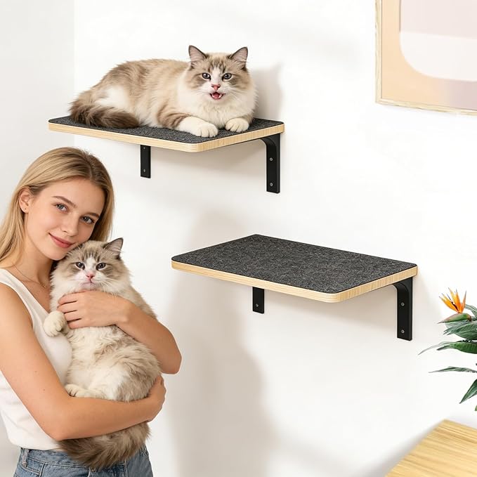 2PCS Cat Wall Shelves with Felt Board,17x9.85 Inch Solid Wood Cat Wall Furniture, Wall Mounted Cats Shelves for Sleeping, Climbing and Scratching