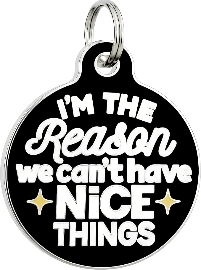 Bad Tags Personalized Dog and Cat ID Tags in 25+ Designs and 2 Sizes - 5 Lines of Custom Engraved Text - Funny Cute Personalized Pet Tags (I'm The Reason We Can't Have Nice Things, Large (1.25 inch))