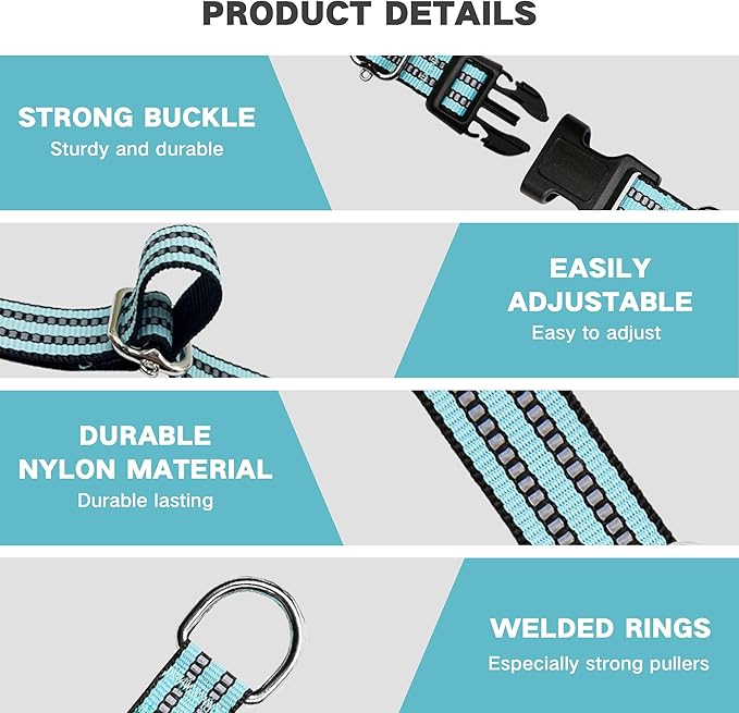 Hikiko Martingale Dog Collars Reflective Nylon Dog Collar with Quick Release Buckle Adjustable Training No Slip Dog Collar (Medium, Sky Blue)