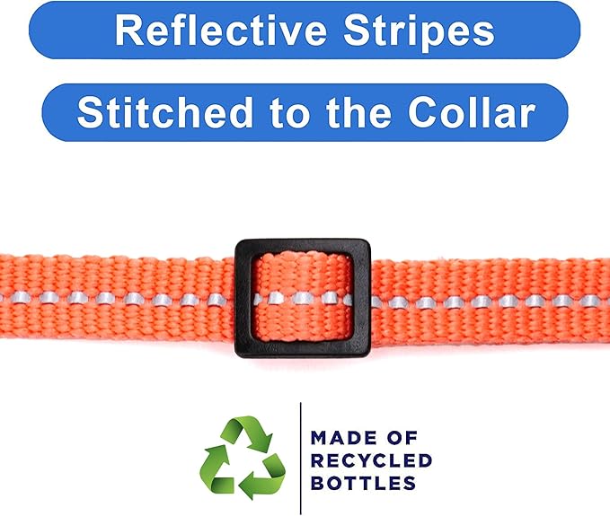 Pawtitas Recycled Coral Reflective Cat Collar – Eco-Friendly Breakaway Safety Buckle, Adjustable Kitten & Adult Collar with Removable Bell and High-Visibility Strap