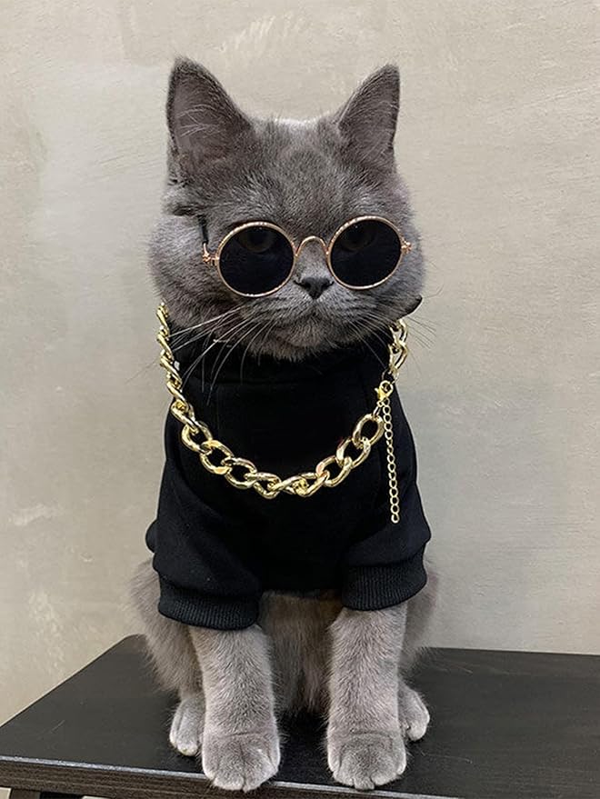 QWINEE 3Pcs Dog Hoodie Cat Apparel Dog Custume Set with Necklace and Sunglasses Pet Clothes for Puppy Small Medium Dogs Cats Multicolor S