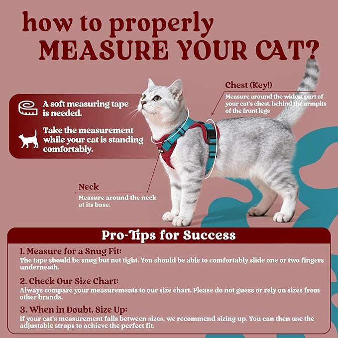 rabbitgoo Cat Harness and Leash for Walking, Escape Proof Soft Adjustable Vest Harnesses for Cats, Easy Control Breathable Reflective Strips Jacket, Red & Teal, XS