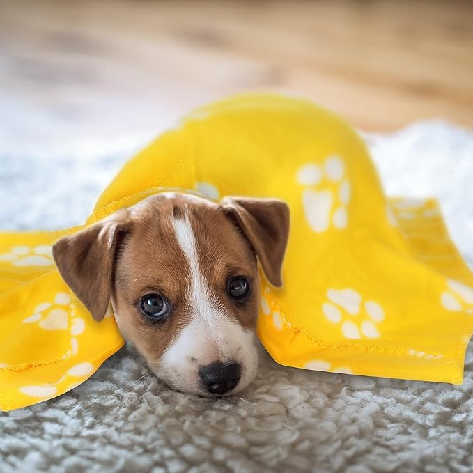 Tatuo 10 Pieces Pet Blankets with Paw Print Dog Cat Fleece Blankets Soft Warm Sleep Mat Pad Bed Cover for Kitten Puppy and Other Small Animals, 24 x 28 Inch(Bright Color)