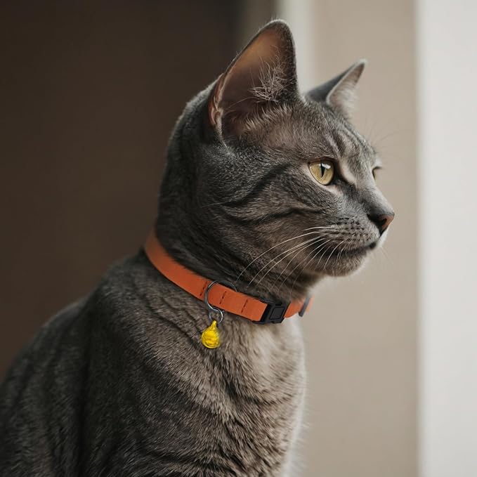 Breakaway Cat Collar Leather with Removable Bell - 13 Colors Available - Soft Adjustable Girl Boy Safety Lightweight Pet Kitten Collars Pink Brown Blue Green Red Orange Black (Brown)