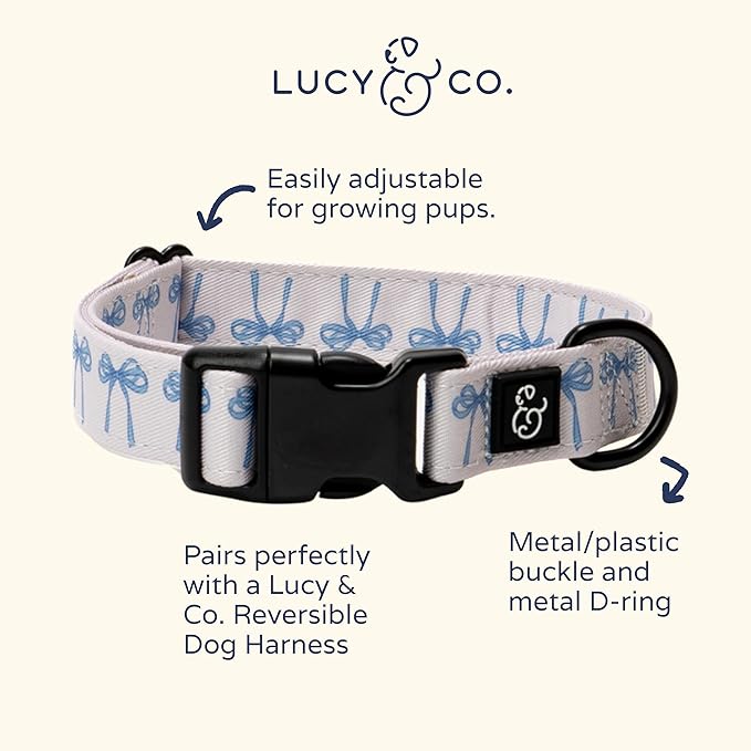 Lucy & Co. Dog Collar - Durable Lightweight Designer Collar for Pets - Adjustable Metal Safety Buckel - Small - White with Blue Bows