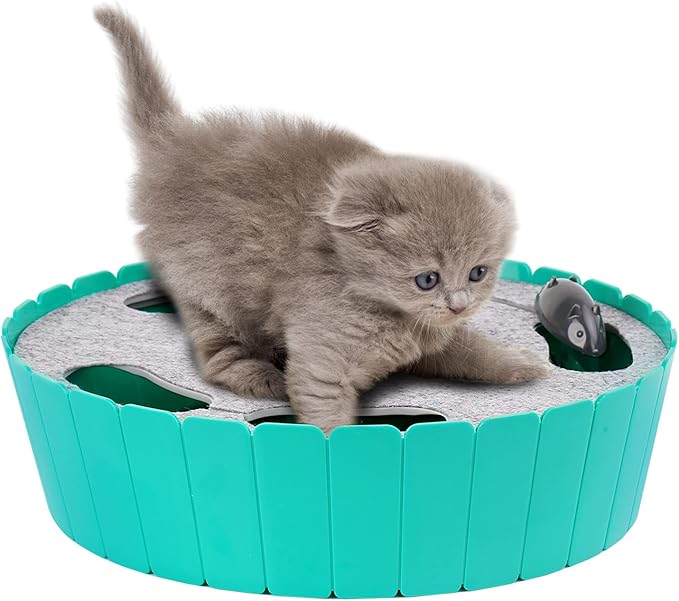 Pawaboo Interactive Cat Toy with Running Mouse, Electronic Motion Cat Toy Automatic Teaser for Indoor Cats, Pop and Play Hide Seek Cats Toys Hunting Mouse for Pet Kitten Play Fun Exercise, Lake Blue