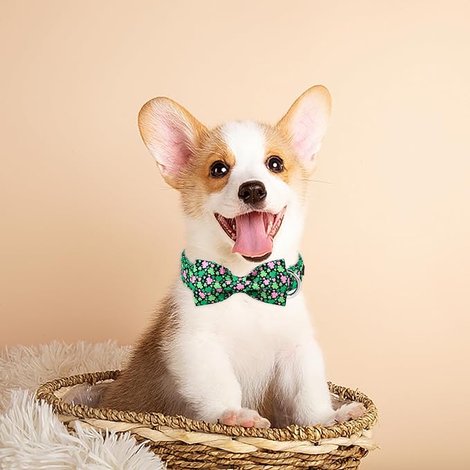 MR. CHUBBYFACE St.Patrick's Pink Green Clover Dog Collar with Bowtie, Cute Clovers Shamrock Metal Buckle Dog Collar, Adjustable Shamrock Pet Collar with for Small Medium Large Dogs