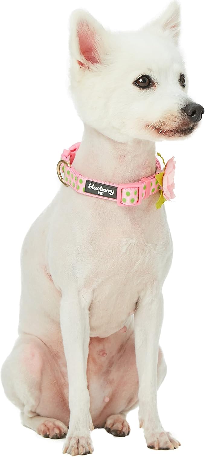 Blueberry Pet Adjustable Flocking Dog Collar with Silk Flower, Polka Dot in Baby Pink, Large - Dog Collars for Small Dogs, Girl Dog Collars, Pink Dog Collar, Neck 18-26"