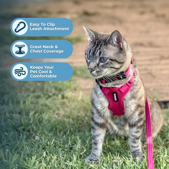 Voyager Escape-Proof Step-in Lock Cat Harness & 5ft Neoprene-Handle Leash Set All-Weather Mesh with Reflective Stitching for Small to Large Cats by Best Pet Supplies, Fuchsia, XXXS
