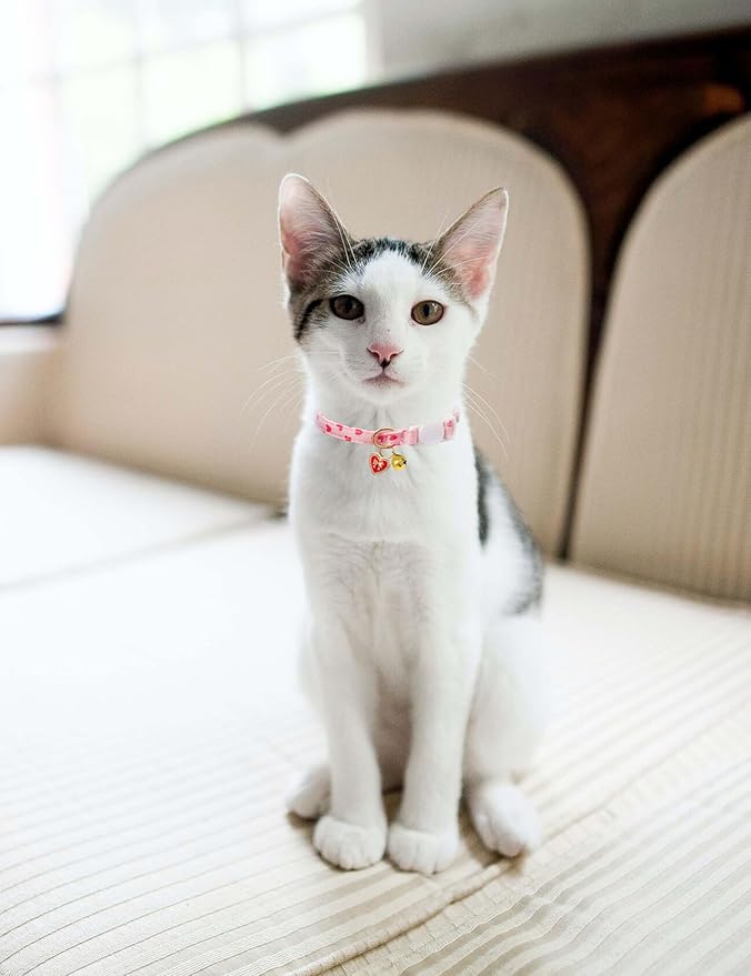 Cat Collar Breakaway with Bells,3 Pack Safety Adjustable Pet Collars,Ideal for Girl Boy Kittens. (Orange Green Pink)