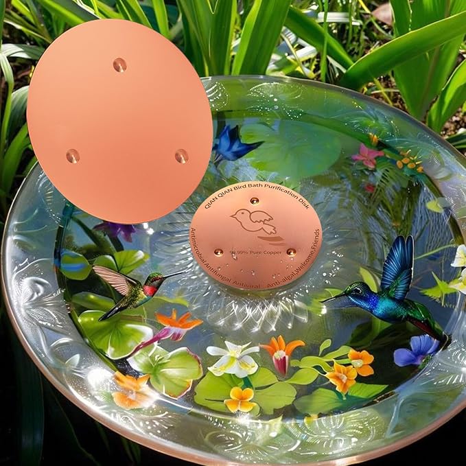 QIANQIAN Bird Bath Copper Disk, Copper Bird Bath Purification Disk (2, Copper)