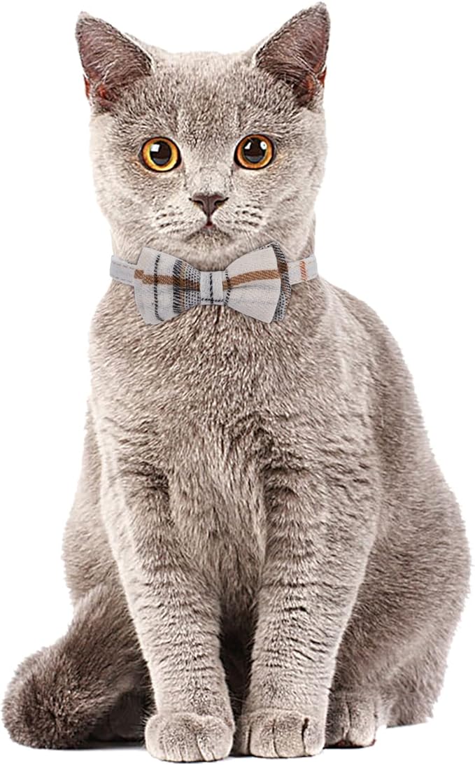 Faleela 2 Pack/Set Cat Collar with Cute Bow Tie and Bell,Breakaway Plaid Shirt Collar for Kitty Adjustable Safety