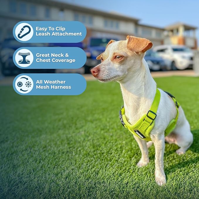 Best Pet Supplies Voyager Step-in Air All Weather Mesh Harness and Reflective Dog 5 ft Leash Combo with Neoprene Handle, for Small, Medium and Large Breed Puppies - Set (Lime Green), XXS
