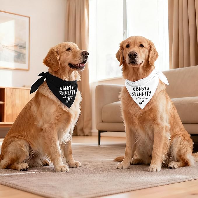 Our Humans are Getting us a Baby Dog Bandanas Pet Scarf Pregnancy Announcement Pet Bandana for Dogs Pet Accessories for Dog Lovers Announcement Photo Props for Large Medium Small Dogs, 2 Packs