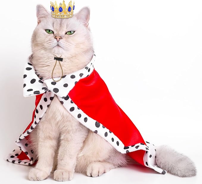 Abbylike Pet Rhinestone King Crown, Queen Crown for Birthday New Year Costume for Small Dog Cat Cosplay Party Accessories Adoption Celebration Wedding Birthday Photos Prop Costume(Blue,Small)