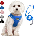 PetiFine Step in Small Dog Harness and Leash Set, Breathable All Weather Air Mesh Reflective Escape Proof, Step-in Vest Harnesses for Puppy(S, Baby Blue)