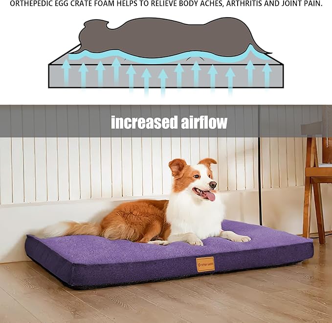 Patas Lague Orthopedic XL Dog Bed Large Sized Dog 48''X30'', Soft Waterproof Egg Crate Foam Large Pet Crate Beds Mat with Removable Washable Cover and Non-Slip Bottom, Purple