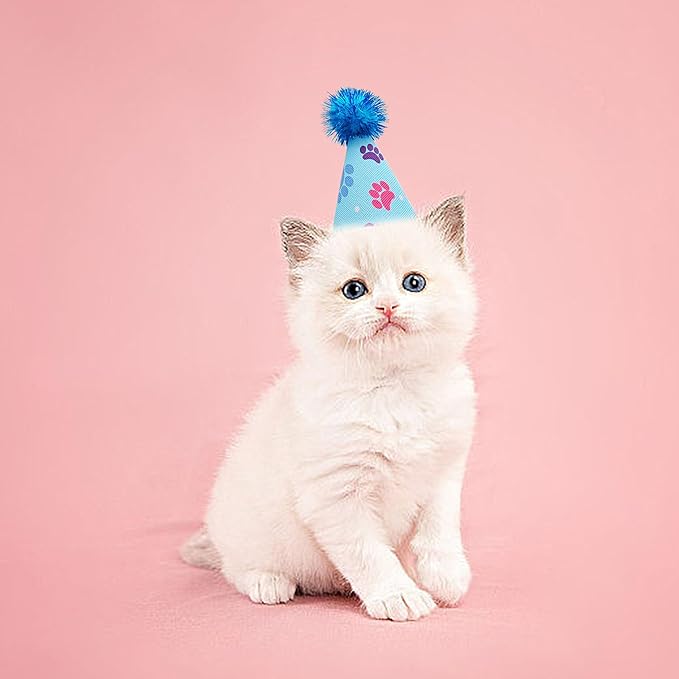 6pcs/Pack Mini Dog Party Hats for Small XS Cat Puppy Doggie Kitten Rabbit Stuffed Animals Birthday Holiday Party Grooming Accessories