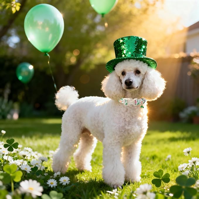 St Patricks Day Dog Collar for Medium Dogs - Cute Pastel Lucky Clover Dog Collars, Lightweight Adjustable Irish Green Festival Dogs Collars with Quick Release Buckle M