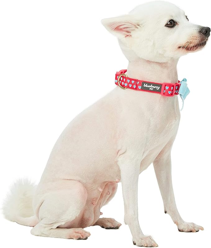 Blueberry Pet Valentines Day Dog Collar with Velvety Bowtie, Heart in Lust Red, Small, 12"-16" Neck, Adjustable, Eco-Friendly, Dog Collars for Medium Dogs & Small Dogs, Puppy Collar