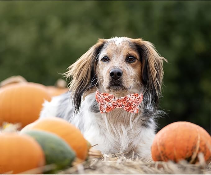 Halloween Dog Collar, Pet Collar Bow Pumpkin Pet Collar Girl Boy Holiday Pet Collars Gift Bow Dog Collar Cute Soft Puppy Collar for X-Small Puppy