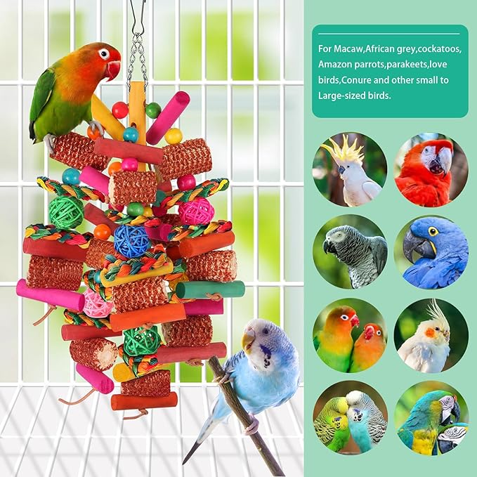 Kyouki Parrots Toys for Cockatiels, Budgies, Conures, Lovebirds, Quakers, Parrotlets, Caiques, Senegals, Meyer's & Other Small/Medium Birds - Natural Chewing & Foraging Toy with (Colored Corn Husk)