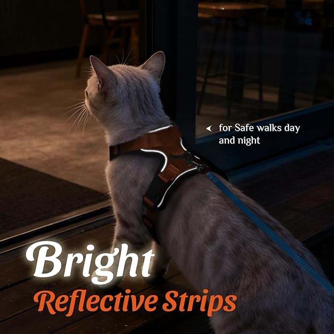 Dooradar Cat Harness and Leash Set, Escape Proof Safe Adjustable Kitten Vest Harnesses for Walking, Easy Control Soft Breathable Mesh Jacket with Reflective Strips for Cats, Orange, XXS