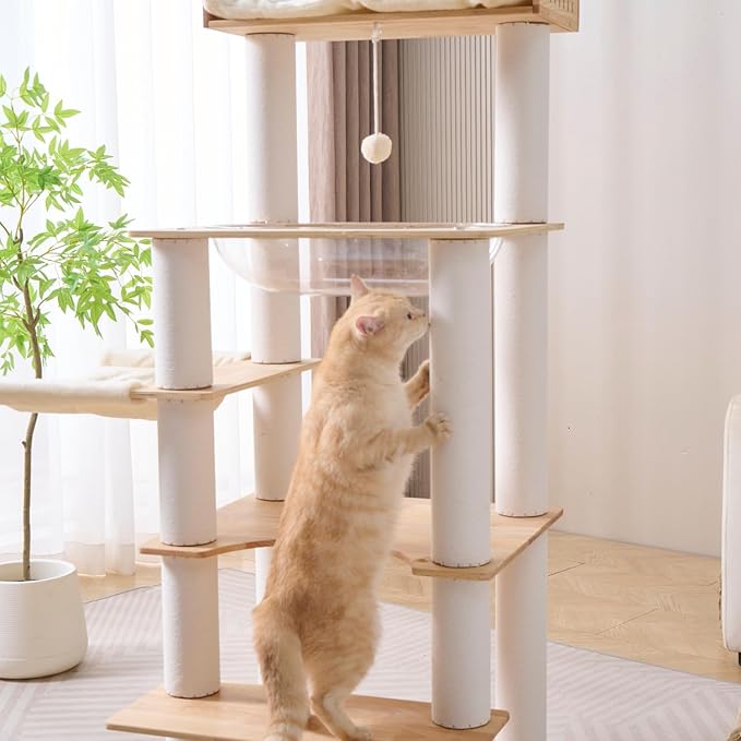 SHENGOCASE Modern Natural Wooden Wood Cat Tree Tower Condo, Extra Large Top Platform Perch, 57" Tall, Big Clear Capsule Bowl Bed, for Maine Coon Indoor Cats