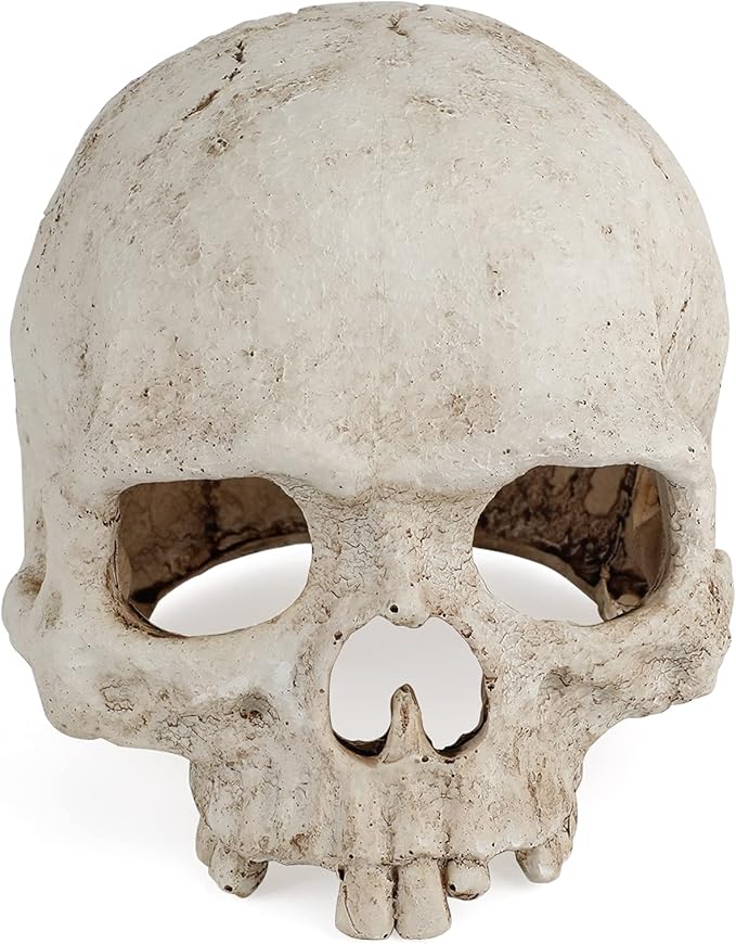 Uniclife Aquarium Skull Reptile House Decor Resin Head Skeleton Ornament for Tank Landscape Decorative Hideout Cave Shelter for Small Fish Shrimp Snail Gecko Spider Lizard in 5-20 Gallon Fish Tank