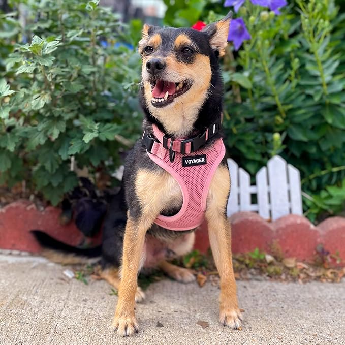 Voyager Step-in Pet Harness - All Weather Mesh, Adjustable Step in Harness for Cats and Dogs by Best Pet Supplies - Pink, XS