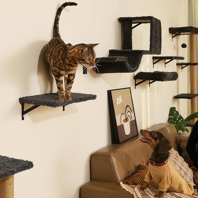 FUKUMARU Cat Wall Shelves, Stable & Safe 4 in 1 Cat Furniture Set, Wooden Climbing Wall with Scratching Post for 16 Inch Drywall - Gray