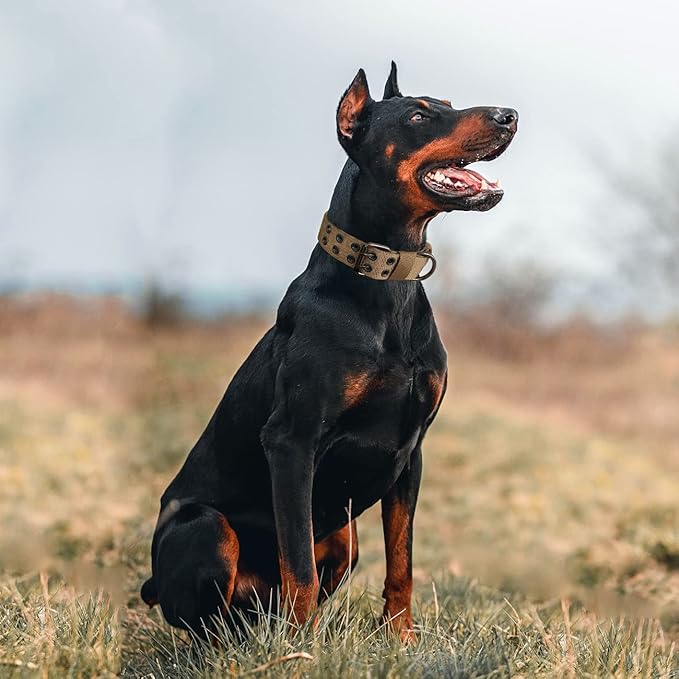 Tactical Dog Collar Military Adjustable Dog Collars Soft Nylon Training Collar with Patch Heavy Duty Metal Buckle Collars for Medium Large Dogs (Brown, L)