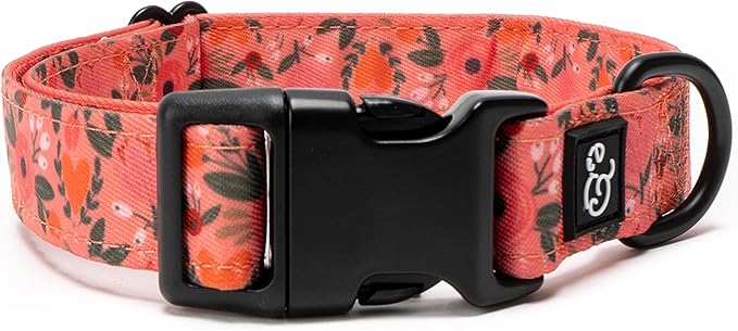 Lucy & Co. Posy Pink Dog Collar - Durable Lightweight Designer Collar for Pets - Adjustable Metal Safety Buckle - Coral Pink Floral - Small