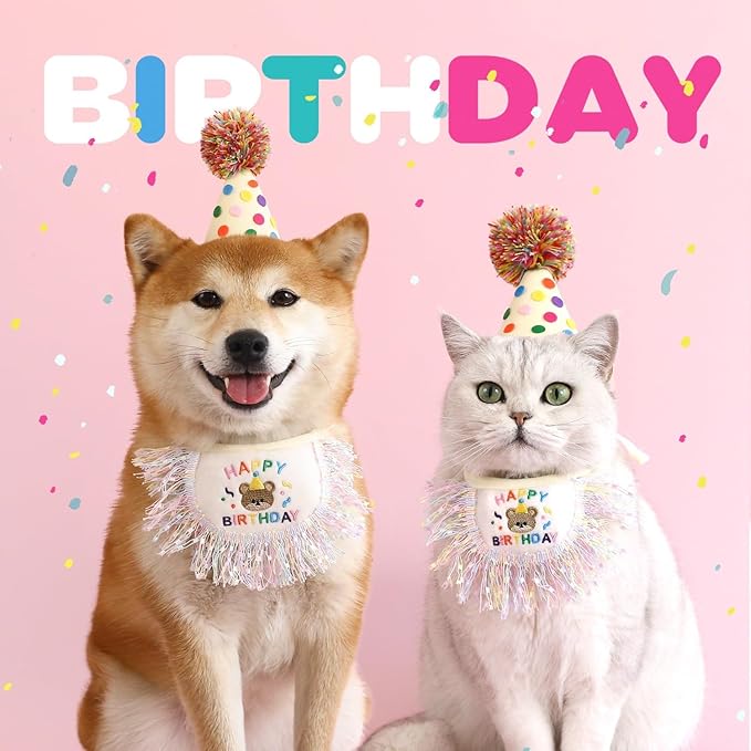 Cat Birthday Bandana Scarf and Party Hat Cute Tassels Bib Scarf and Birthday Hat Cat Birthday Party Decorations Set