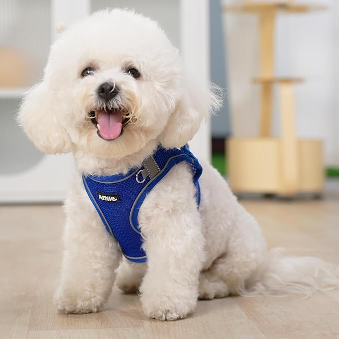 AIITLE Comfortable Dog Harness and Leash Set for Walking - Step in Vest Harness,Reflective Bands, Adjustable No Pull Puppy Essentials, for Small Dogs and House Cats Royal Blue XS