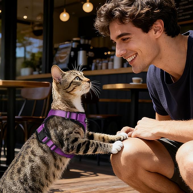 Dooradar Cat Harness and Leash Set, Escape Proof Safe Adjustable Kitten Vest Harnesses for Walking, Easy Control Soft Breathable Mesh Jacket with Reflective Strips for Cats, Purple, S