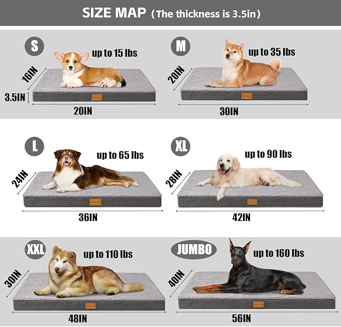 Patas Lague Orthopedic Dog Bed Large Sized Dog 36''X24'',Soft Waterproof Egg Crate Foam Medium Pet Crate Beds Mat with Removable Washable Cover and Non-Slip Bottom, Light Grey