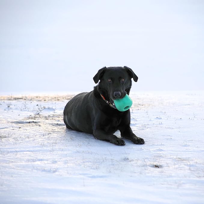 Chew King by Mammoth Premium Treat Dispensing Dog Toy, Durable Natural Rubber Chew Toy, Safety Air Vent, Interactive Enrichment Toy for Aggressive Chewers, XXL - Teal