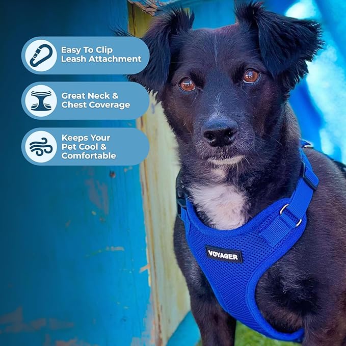 Voyager Step-in Pet Harness - All Weather Mesh, Adjustable Step in Harness for Cats and Dogs by Best Pet Supplies - Royal Blue, XS