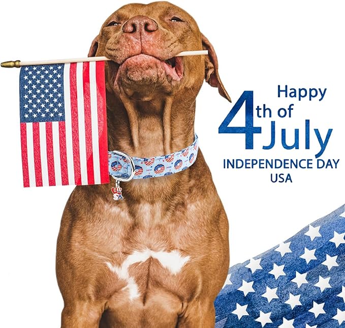 Faygarsle Patriotic Dog Collar, 4th of July Design, American Flag Pattern, Light Blue Summer Design for Small Medium Large Dogs S