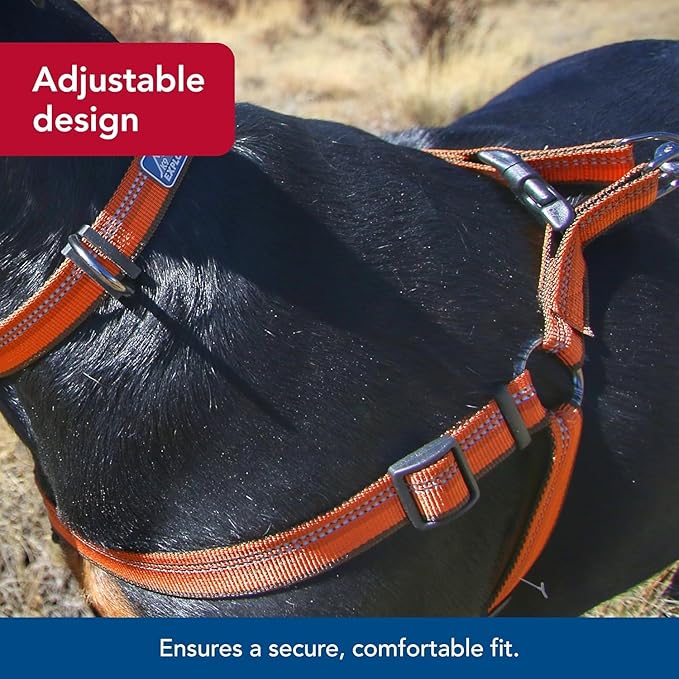 Coastal Pet K9 Explorer Reflective Adjustable Padded Dog Harness - Plush Chest Pad for Comfort - No-Pull Dog Harness for Small and Large Dogs - Campfire Orange - 5/8" x 12"-18", X-Small