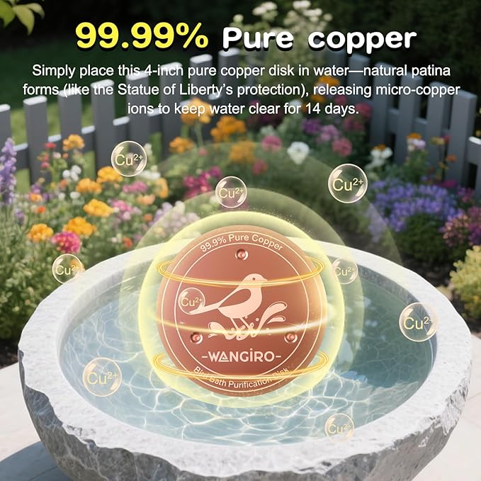 Bird Bath Copper Disk 2PCS-99.99% Pure Copper Purification Disk 1 mm Thick with Triple Support for Outdoor Birdbaths Bowls,4 Inch
