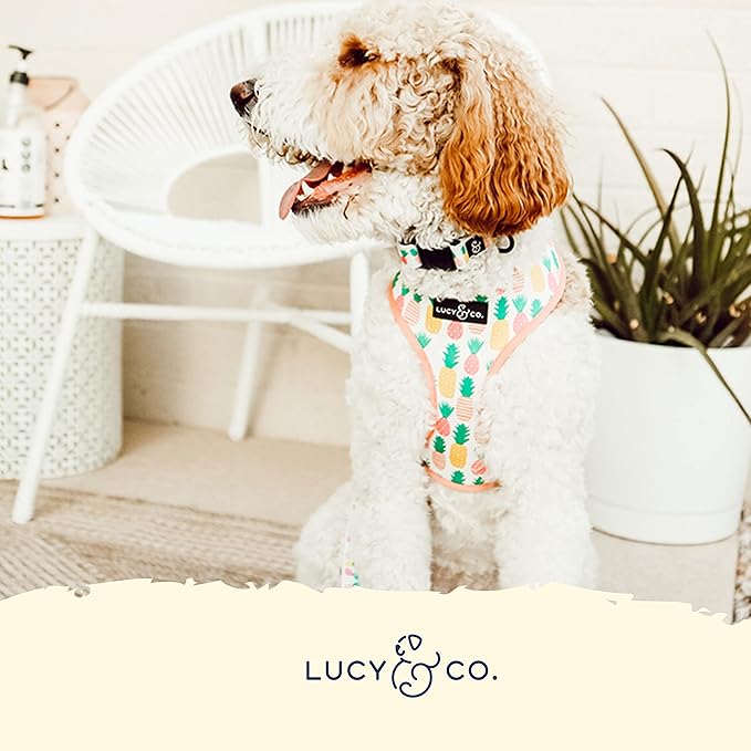 Lucy & Co Reversible Dog Harness | Soft and Padded for Comfort with Ability to Easily Switch Between Two Designer Harness Prints | Adjustable Walking Harness for Large Medium Small Dogs