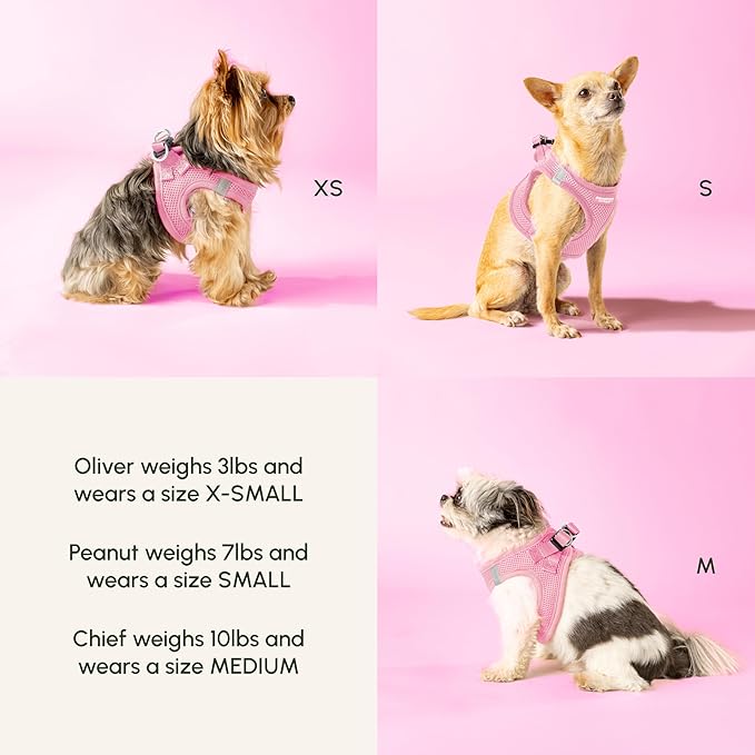 Downtown Pet Supply Step in Dog Harness for Large Dogs - Adjustable, Escape Proof Dog Harness with Reflective Trim - All-Weather, Fast-Drying Padded Mesh Fabric - Baby Pink, L