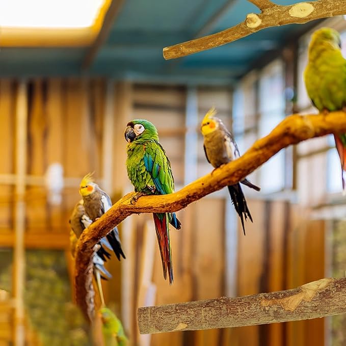 8 PCS Natural Bird Perch Set - Apple Wood Platforms & Hardwood Branches for Parakeets, Cockatiels, Lovebirds - Natural Cage Accessories, Gym Playstand & Chewing Toys for Small Birds