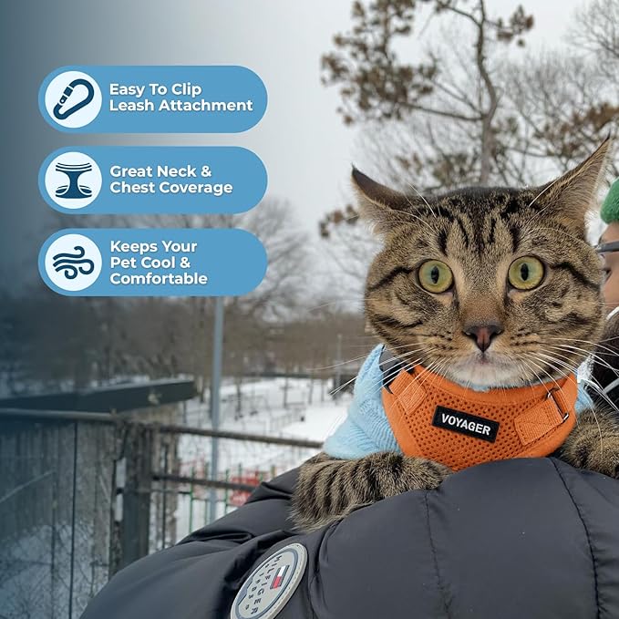 Voyager Escape-Proof Step-in Lock Cat Harness & 5ft Neoprene-Handle Leash Set All-Weather Mesh with Reflective Stitching for Small to Large Cats by Best Pet Supplies, Orange, XS