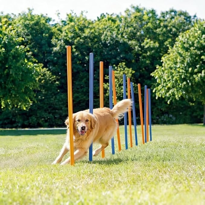 PAWISE Dog Agility Training Equipment,12 Weave Poles for Dogs with Stakes & Carry Bag, Dogg Agility Training Set for Outdoor Obstacle Course, Backyard Dog Exercise & Training Equipment for All Breeds