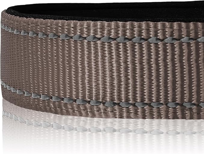 Joytale Reflective Dog Collar, Soft Neoprene Padded, Metal D-Ring, Nylon Pet Collar Adjustable for Extra Large Dogs, Brown, XLarge