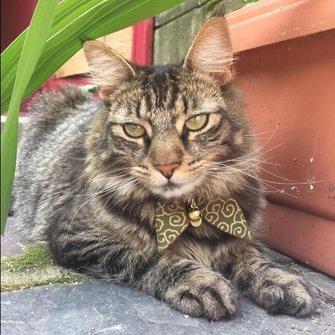 PetSoKoo Bunny Ears Cat Collar, Japan Lucky ‘開三運’ Charm. Safety Breakaway Bowtie Kitten Collar with Bell, Green