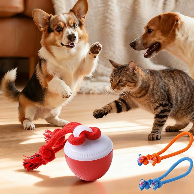 Interactive Dog Toys, Interactive Dog Ball with Birdsong Squeaky Chewable Rope for Small/Medium/Large Dogs,Automatic Moving Dogs Toy Wicked Ball for Boredom & Training,Dog Toys to Keep them Busy (Red)